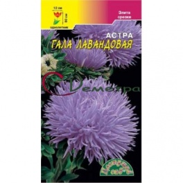 Астра Гала Лавндовая густомахровая /ЦветСад/ 0,1г.